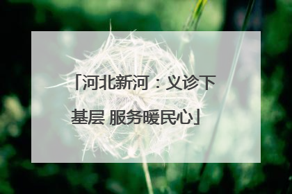 河北新河：义诊下基层 服务暖民心