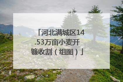 河北满城区14.53万亩小麦开镰收割（组图）