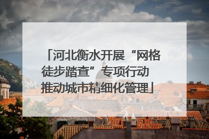 河北衡水开展“网格徒步踏查”专项行动 推动城市精细化管理