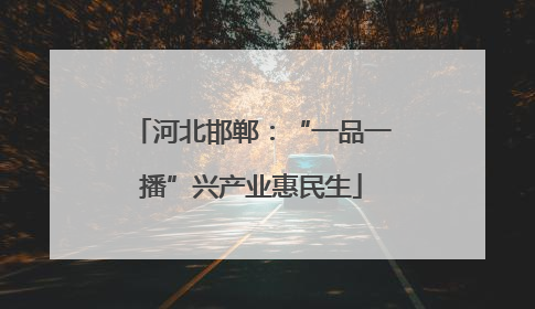 河北邯郸：“一品一播”兴产业惠民生