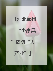 河北霸州：“小家具”撬动“大产业”