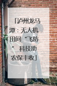 泸州龙马潭：无人机田间“飞防” 科技助农保丰收