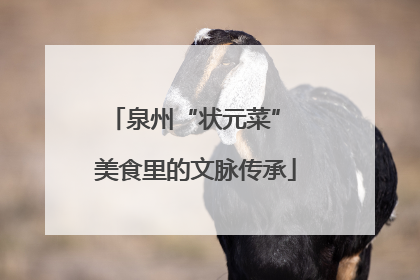 泉州“状元菜” 美食里的文脉传承