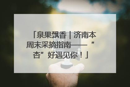 泉果飘香｜济南本周末采摘指南——“杏”好遇见你！