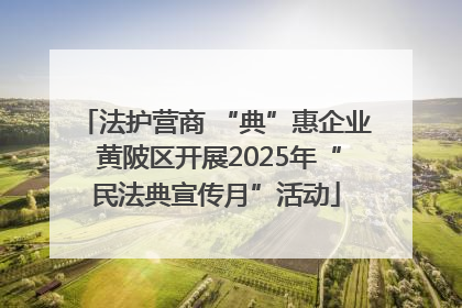 法护营商 “典”惠企业 黄陂区开展2025年“民法典宣传月”活动