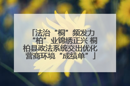 法治“桐”频发力 “柏”业锦绣正兴 桐柏县政法系统交出优化营商环境“成绩单”