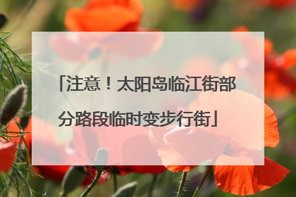 注意！太阳岛临江街部分路段临时变步行街