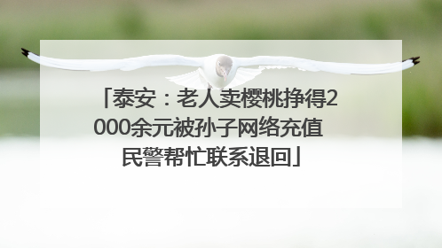 泰安：老人卖樱桃挣得2000余元被孙子网络充值 民警帮忙联系退回