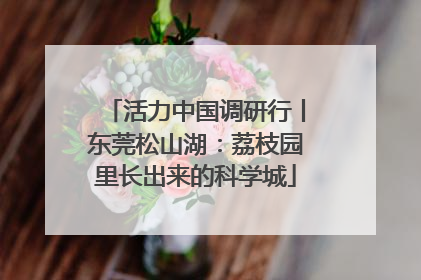 活力中国调研行丨东莞松山湖：荔枝园里长出来的科学城