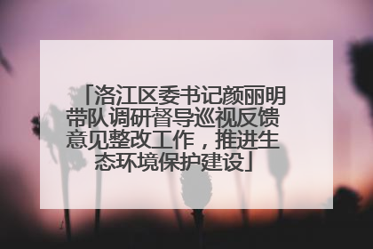 洛江区委书记颜丽明带队调研督导巡视反馈意见整改工作，推进生态环境保护建设