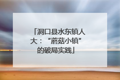 洞口县水东镇人大：“蘑菇小镇”的破局实践