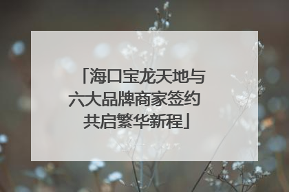 海口宝龙天地与六大品牌商家签约 共启繁华新程