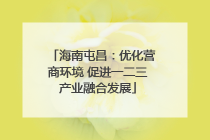 海南屯昌：优化营商环境 促进一二三产业融合发展