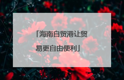 海南自贸港让贸易更自由便利