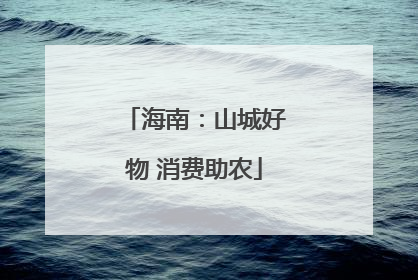 海南：山城好物 消费助农