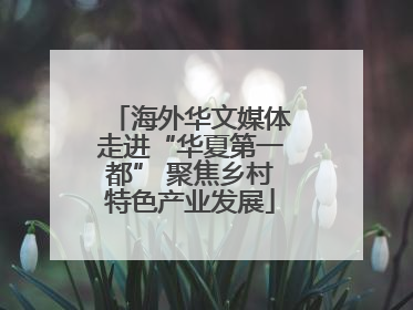 海外华文媒体走进“华夏第一都” 聚焦乡村特色产业发展