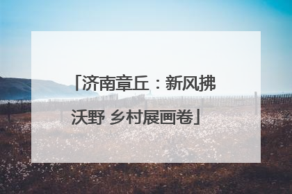 济南章丘：新风拂沃野 乡村展画卷