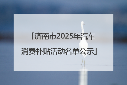 济南市2025年汽车消费补贴活动名单公示