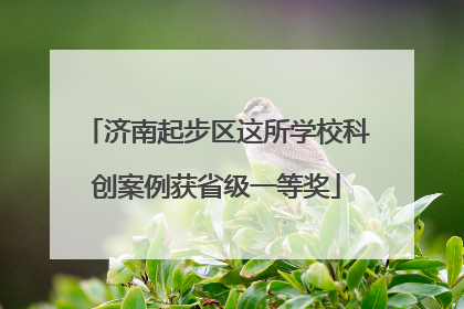 济南起步区这所学校科创案例获省级一等奖
