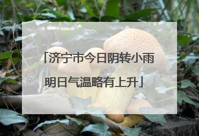 济宁市今日阴转小雨 明日气温略有上升