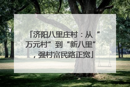 济阳八里庄村：从“万元村”到“新八里”，强村富民路正宽