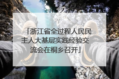 浙江省全过程人民民主人大基层实践经验交流会在桐乡召开