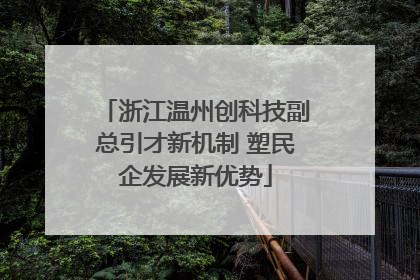 浙江温州创科技副总引才新机制 塑民企发展新优势