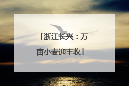 浙江长兴：万亩小麦迎丰收