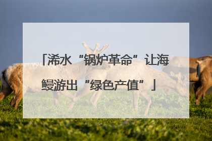 浠水“锅炉革命”让海鳗游出“绿色产值”