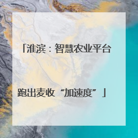 淮滨：智慧农业平台跑出麦收“加速度”