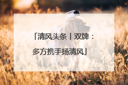 清风头条丨双牌：多方携手扬清风