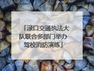 渌口交通执法大队联合多部门举办驾校消防演练