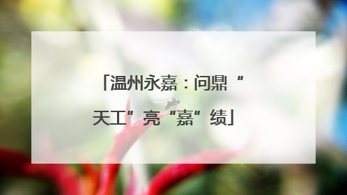 温州永嘉：问鼎“天工”亮“嘉”绩