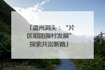 温州洞头：“片区组团强村发展”探索共富新路
