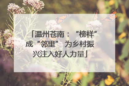 温州苍南：“榜样”成“邻里” 为乡村振兴注入好人力量