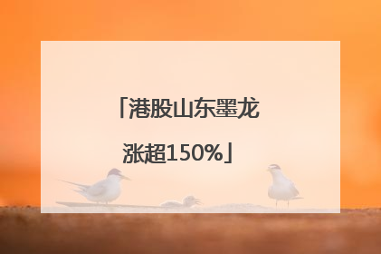 港股山东墨龙涨超150%