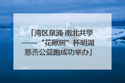 湾区泉涌·南北共擎——“花楸树”杯明湖慈善公益跑成功举办