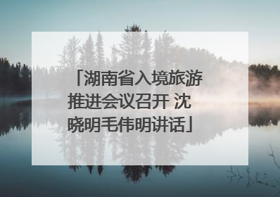 湖南省入境旅游推进会议召开 沈晓明毛伟明讲话
