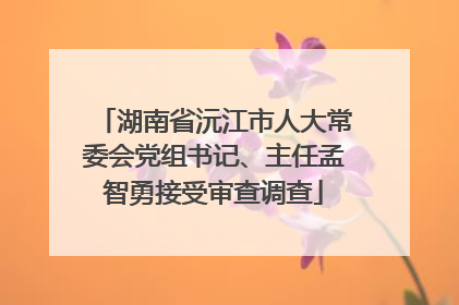 湖南省沅江市人大常委会党组书记、主任孟智勇接受审查调查