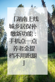 湖南上线城乡居保补缴新功能：手机点一点 养老金提档不用跑腿