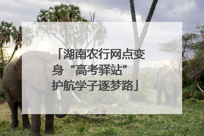 湖南农行网点变身“高考驿站” 护航学子逐梦路