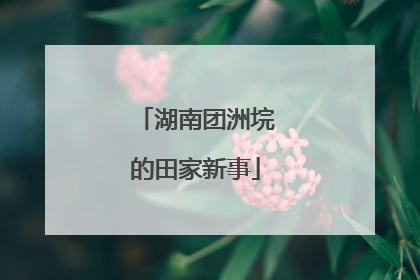 湖南团洲垸的田家新事