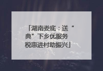 湖南娄底：送“典”下乡优服务 税惠进村助振兴