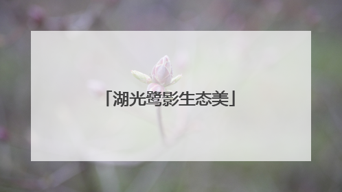湖光鹭影生态美