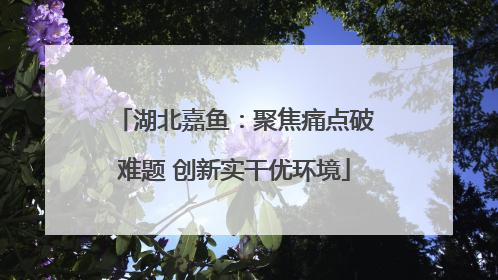 湖北嘉鱼：聚焦痛点破难题 创新实干优环境