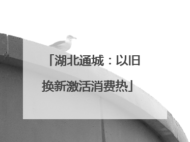湖北通城：以旧换新激活消费热