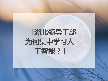 湖北领导干部为何集中学习人工智能？