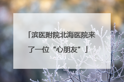 滨医附院北海医院来了一位“心朋友”