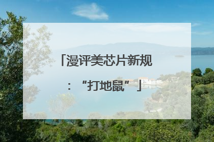 漫评美芯片新规：“打地鼠”