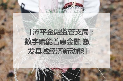 漳平金融监管支局：数字赋能普惠金融 激发县域经济新动能